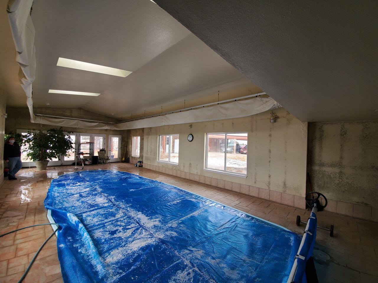 Mold Remediation Services | Colorado Springs, CO | PRSCS - mold%20near%20pool