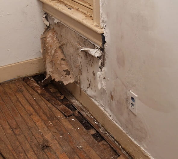 Wall Water Damage Property Restoration Solutions