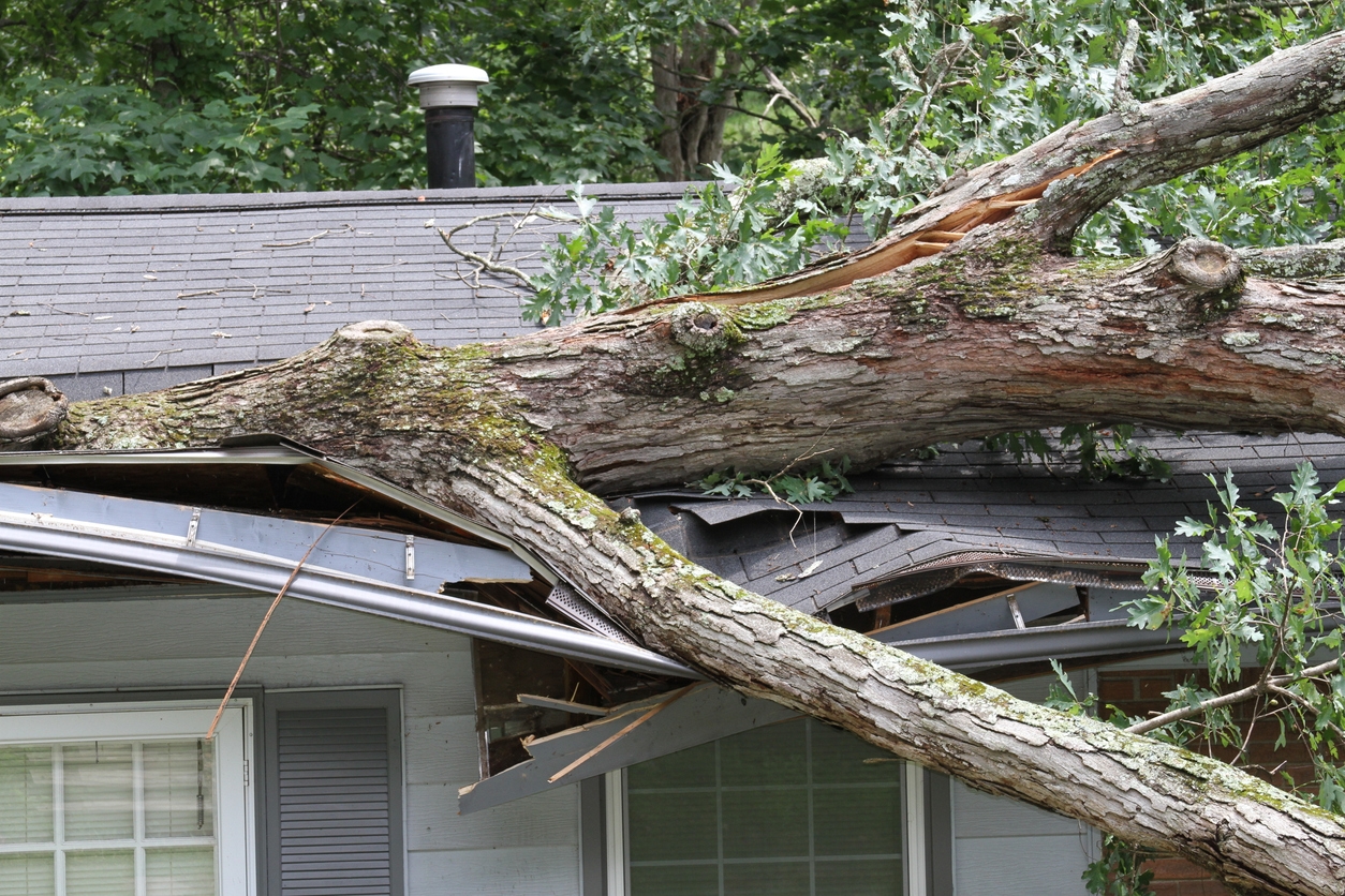 Storm Proofing: Secure Your Home Today